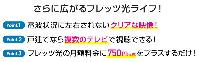 フレッツ・テレビ
